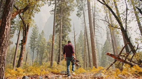 Cameraman walking at forest with his camera 스톡 동영상 138322909