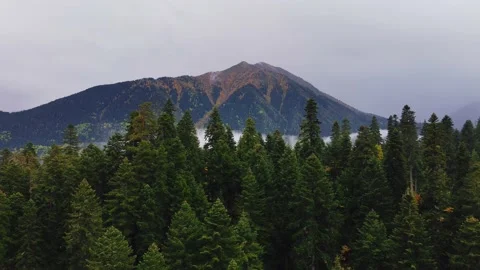 The camera's flight to the mountain over the forest 動画素材 233244463