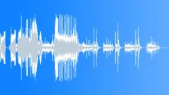 CameraShutter1 Sound Effect