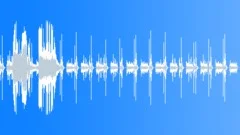 CameraShutter2 Sound Effect