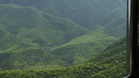 Cameron Highlands footage Stock Footage 99755130