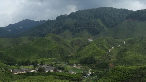 Cameron Highlands Malaysia Stock Footage 99755092