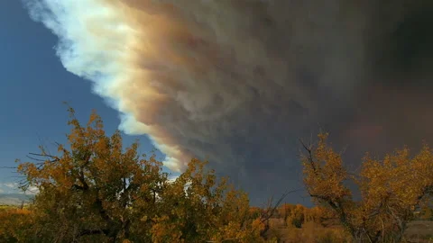 Cameron Peak Fire 007 動画素材 141222093