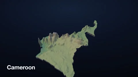 Cameroon 3D elevation relief map Stock Footage 340608829