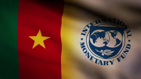 Cameroon and IMF waving flag Stock Footage 245349105
