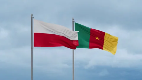 Cameroon and Poland flags Stock Footage 252429895