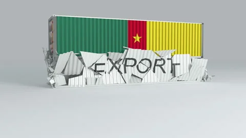 Cameroon container with the flag falls on top of a container labeled EXPORT Stock Footage 124445522