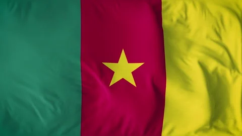 CAMEROON COUNTRY FLAG Stock Footage 282446842