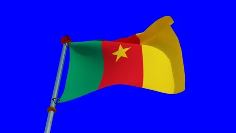 Cameroon Flag in 3D Stock Footage 157614259