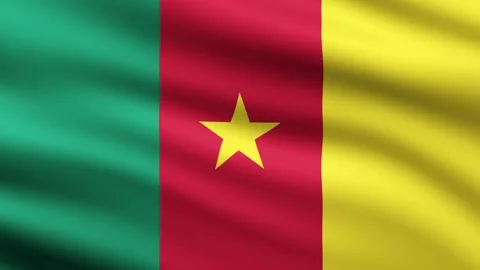 Cameroon flag animation waving background Stock Footage 267297207