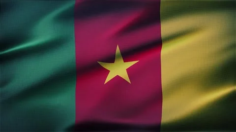 Cameroon Flag Background Stock Footage 341174464