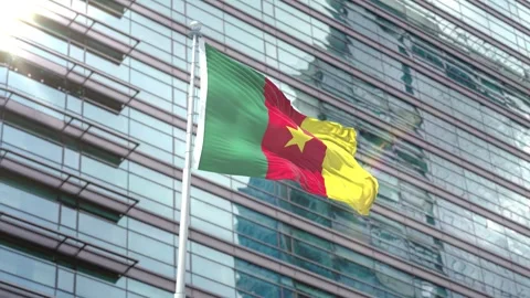 Cameroon Flag background Stock Footage 341256759