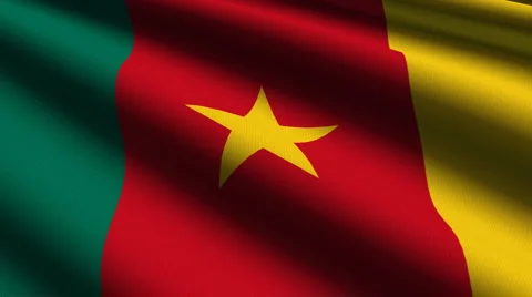 Cameroon flag close up Stock Footage 936436