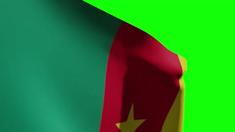 Cameroon Flag Close Видео 134491961