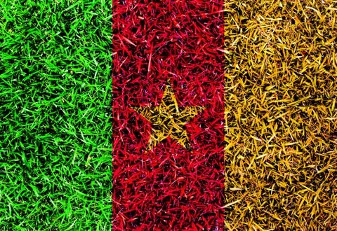Cameroon flag color grass texture background Stock Illustration
