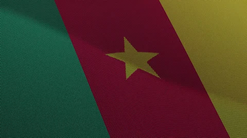 Cameroon Flag Digital Particle Waving Seamless Loop Animation on Black Back.. Видео 339302320