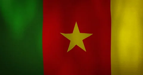 Cameroon flag fabric texture waving in the wind. Stock Footage 95311955