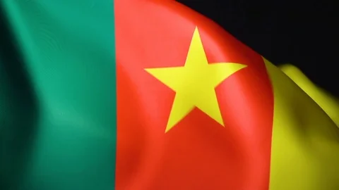 Cameroon Flag Flapping Stock Footage 118972528
