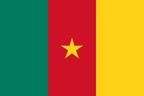 Cameroon flag flat vector illustration Stock Illustration