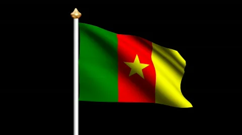 Cameroon flag Video stock 563505