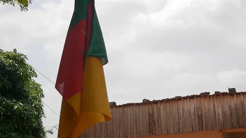 Cameroon flag Stock Footage 80607473