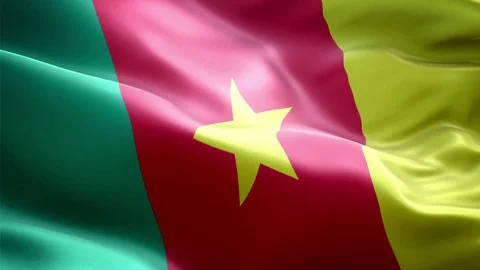 Cameroon Flag Stock Footage 116375452