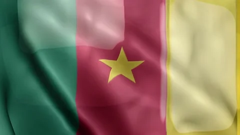Cameroon Flag Stock Footage 133773931