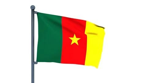 Cameroon Flag Stock Footage 150196112