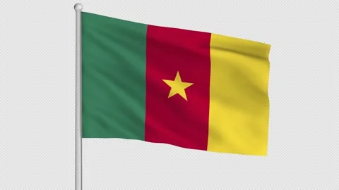 Cameroon Flag Stock Footage 212094992