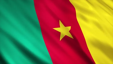Cameroon Flag Stock Footage 249031604