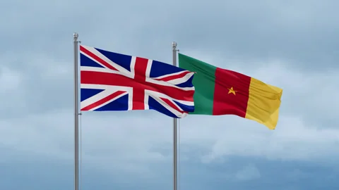 Cameroon flag Stock Footage 251746834