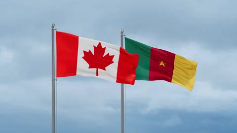 Cameroon flag Stock Footage 252023212