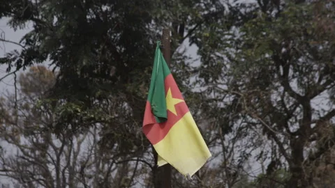 Cameroon Flag Stock Footage 256886524