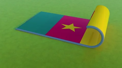 Cameroon Flag 스톡 동영상 257672400