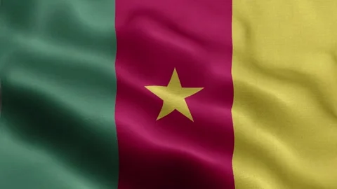 Cameroon flag Front Stock Footage 318663279