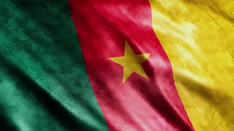 Cameroon Flag Grunge Stock Footage 249036276