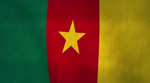 Cameroon Flag  (Loop-able) Stock Footage 33867108