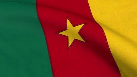 Cameroon Flag Loop Stock Footage 241240570