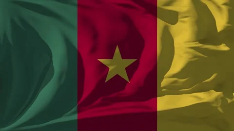 Cameroon Flag Loop Stock Footage 295711191