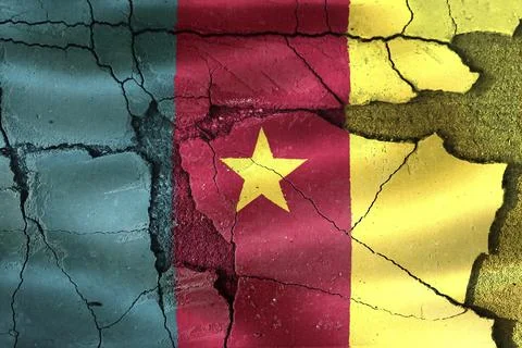 Cameroon flag painted on concrete surface expressing political tensions and Stock Photos