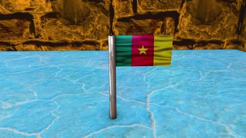 Cameroon Flag Post - Dolly Shot Stock Footage 271116276