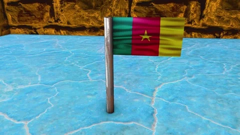 Cameroon Flag Post - Orbiting Shot Stock Footage 271116118