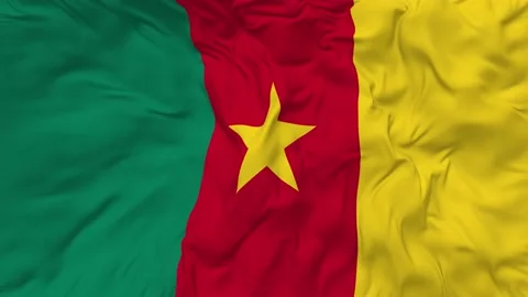 Cameroon Flag Seamless Looping Background Waving Slow Motion Stock Footage 234035277