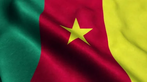 Cameroon Flag - Seamless Looping 스톡 동영상 210597677