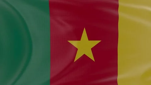 Cameroon flag in slow motion animation waving in the wind realistic Stock Footage 142986801