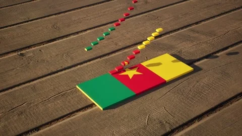 Cameroon Flag - Slow Motion Stock Footage 318730791