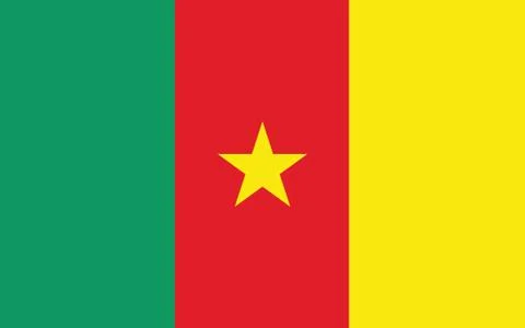 Cameroon flag vector graphic. Rectangle Cameroonian flag illustration. Camero Stock-Illustration