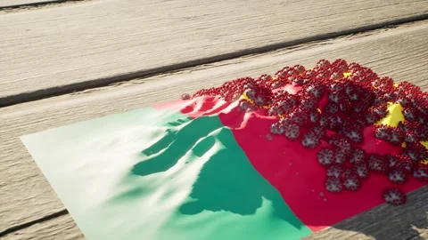 Cameroon Flag - Virus Growth Stock Footage 320249884
