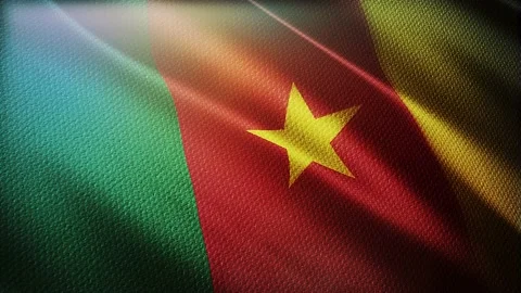 Cameroon flag is waving 3D animation. Cameron flag waving in the wind. Stock Footage 142222440