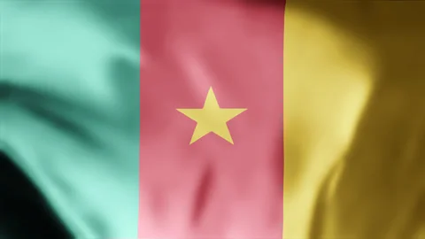 Cameroon flag is waving 3D seamless loop animation footage 4k. Stock Footage 256151652